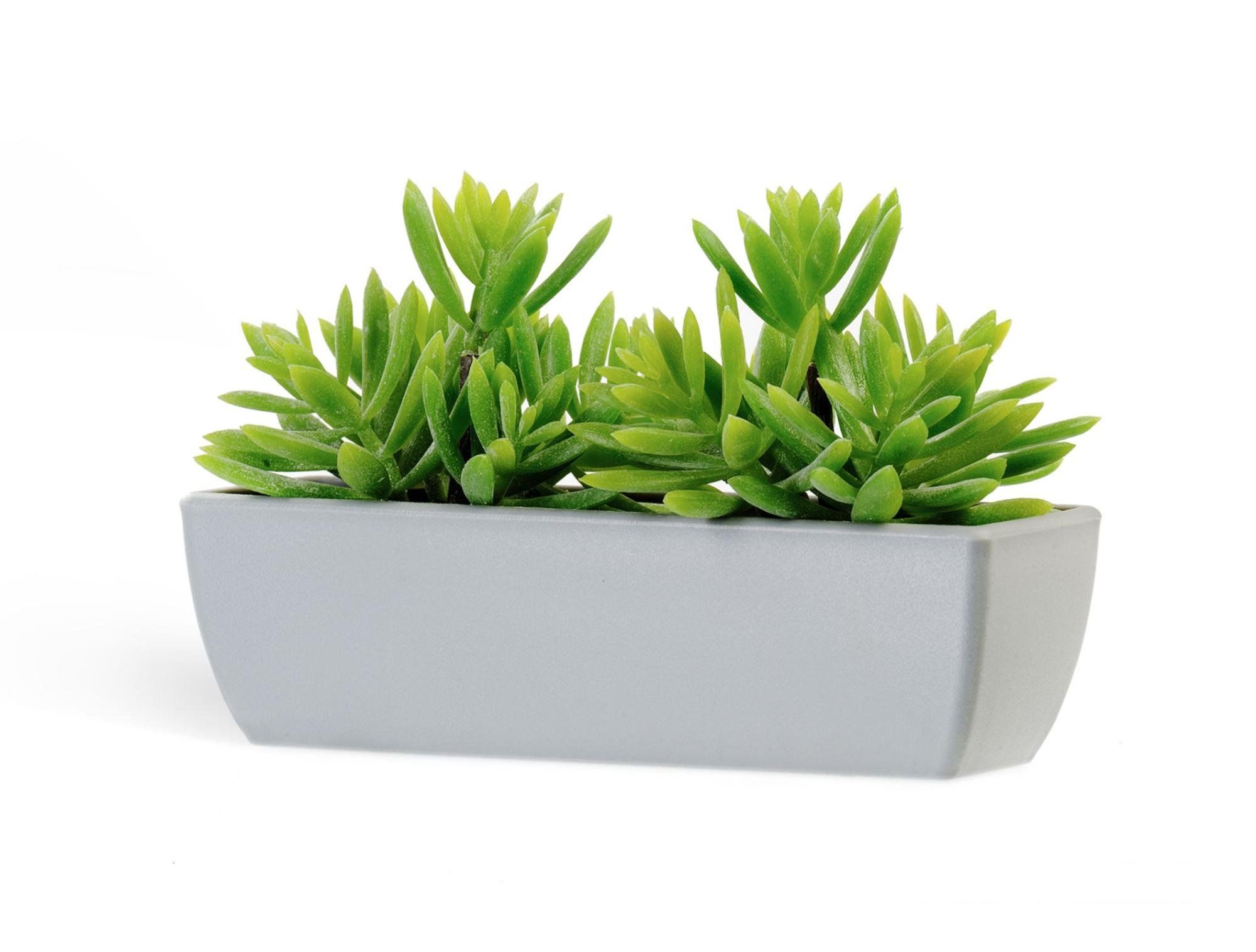 Статьи фото №12