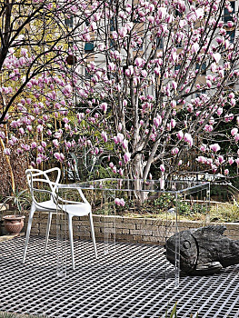 Стул Masters 5866/03