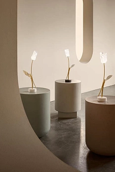 Slamp Настольная лампа Tulip battery white