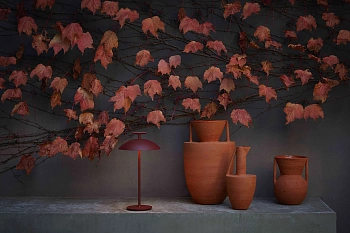 Настольная лампа Mini Geen-A 9720/BR