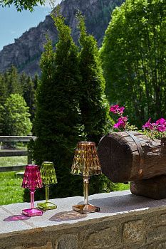 Настольная лампа Battery 9145/GG